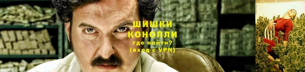 шишки Алзамай
