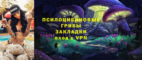 шишки Алзамай