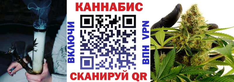 Шишки марихуана сатива Волхов